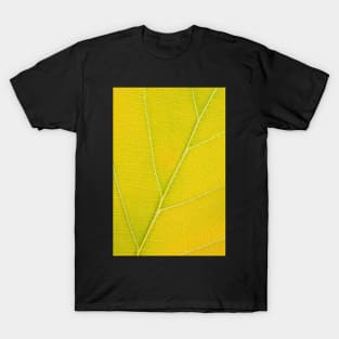 Autumn Leaf T-Shirt